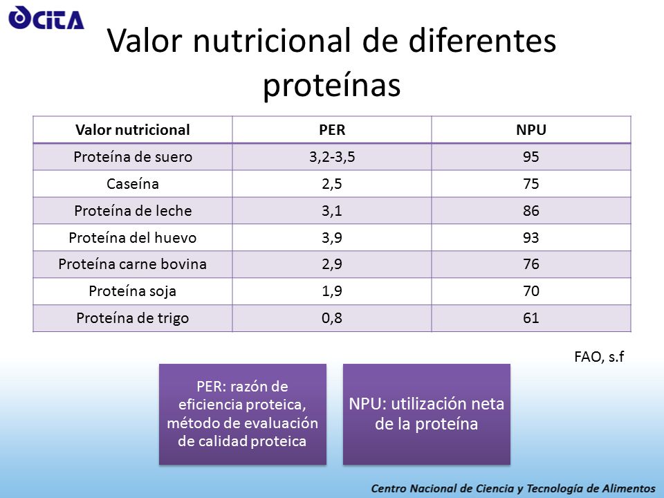 Suero de leche contenido nutricional